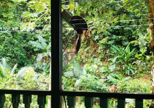 Golfito Maison Dhôtes