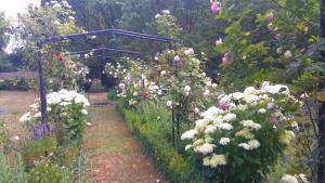 Maisons d'hotes Le jardin des Ecureuils : photos des chambres