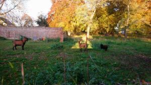 Maisons d'hotes Le jardin des Ecureuils : photos des chambres