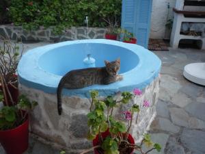 Apanemia Rooms Syros Greece