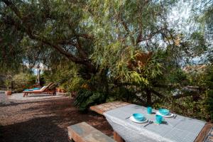 Finca Alda