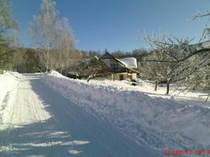 Apartmán Apartman winter Rokytnice nad Jizerou Česko