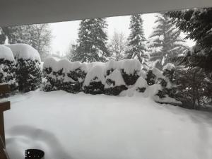 Grain dOr - Studio 008