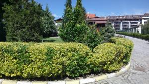 Ski Apartments in Bojurland Resort Bansko