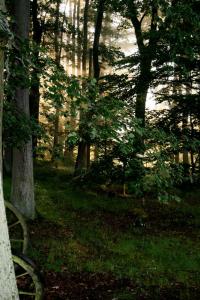 Berghotel Wintersberg