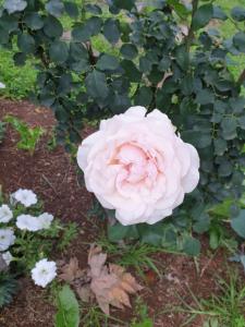 Piccadilly Farm Cottages