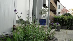 Ferienhaus Paschke Möhnesee Zentrum