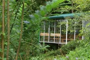 Sinharaja Kurulu Ella Eco Resort - Ittekanda