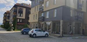 Ski Apartments in Bojurland Resort Bansko