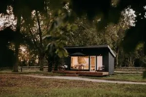 Dunduriņi - Vandzene