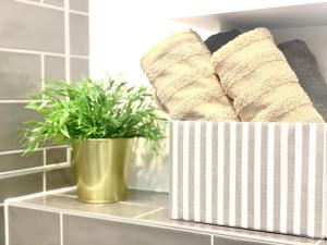 Luxury, bright Studio with parking and balcony in Bratislava center