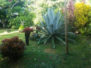 Los Palmares Guest House & Eventos