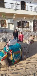 Habibi Nubian Guest House-Nubian Hospitality - Naj‘ al Madābb