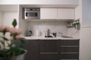 Iva apartment in heart of Zagreb 