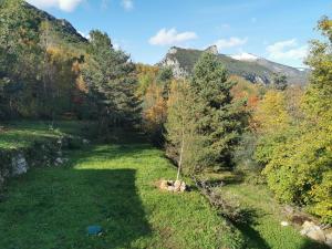 Chalets Le Cabanon : photos des chambres