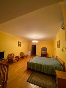 Standard Double Room room in Hotel Obolon
