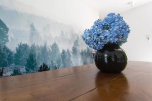 Aqua&Co Bellagio - B&B with love
