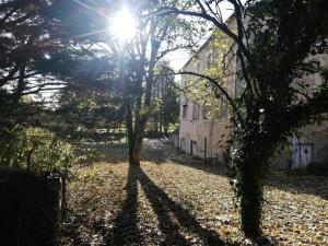 Maisons de vacances Gite de la Gare : photos des chambres