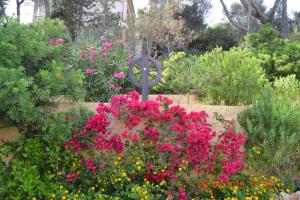 Appartamenti al mare img23