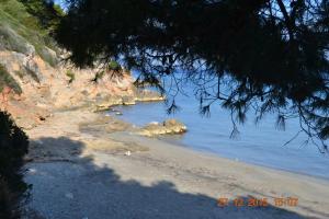 Appartamenti al mare img19