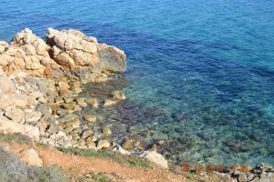 Appartamenti al mare img13