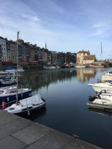 Appartements Vue sur le Phare : photos des chambres