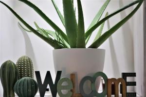 The Roman Way San Giovanni