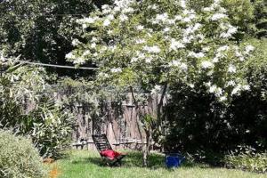 Habitación en casa con gran jardín