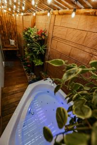 Casa Suculenta ,Monteverde con Jacuzzi Privado y LavanderĂa