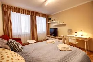 Old Town Apartment - Cheb