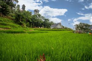 Le Eminence Puncak Hotel Convention & Resort