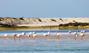 Salgados, Relax & Fun for family