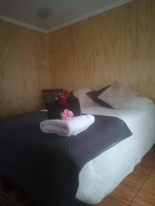 CabaƱas Teave