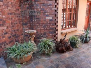 Ambassador Lodge Kimberly