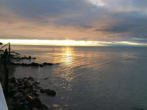 A Day at the Lake Cottage - Harrow