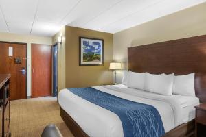 King Room - Non-Smoking room in Comfort Inn Airport Grand Rapids