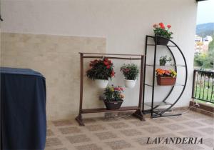 Sueños Vividos Hospedaje