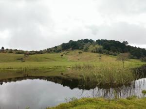 CABAÑAS COLINAS de SAN NICANOR