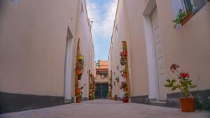 Departamentos Shaka- Ekeikey