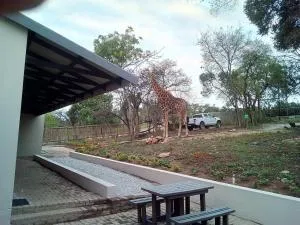 Hazyview Buffalo Game Lodge - Kiepersol