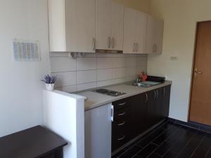 One-Bedroom Apartment with Balcony room in Apartment Podaca 11748a