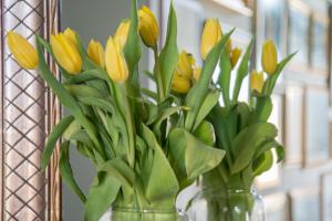 Dimora Caiammari Luxury Hotel & Spa