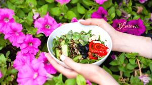 Julia Apartments Rakowicka - Old Town