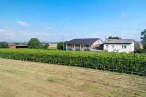 Winzerhof Schmid
