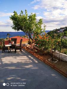 Thalassa Salamina Greece