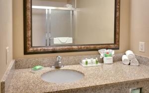 Executive King Room - Non-Smoking room in Holiday Inn Salt Lake City - Airport West an IHG Hotel