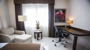 Holiday Inn Express Tuxtla Gutierrez La Marimba by IHG