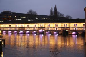 Hotels Holiday Inn Express Strasbourg - Sud, an IHG Hotel : photos des chambres