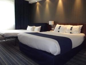 Hotels Holiday Inn Express Strasbourg - Sud, an IHG Hotel : photos des chambres