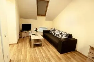 Wonderful flat on city center (Mukachivska 4/16) - Glubokoye